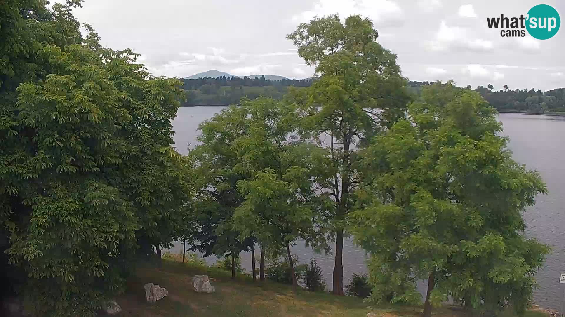 Web kamera Kočevje jezero – Slovenija