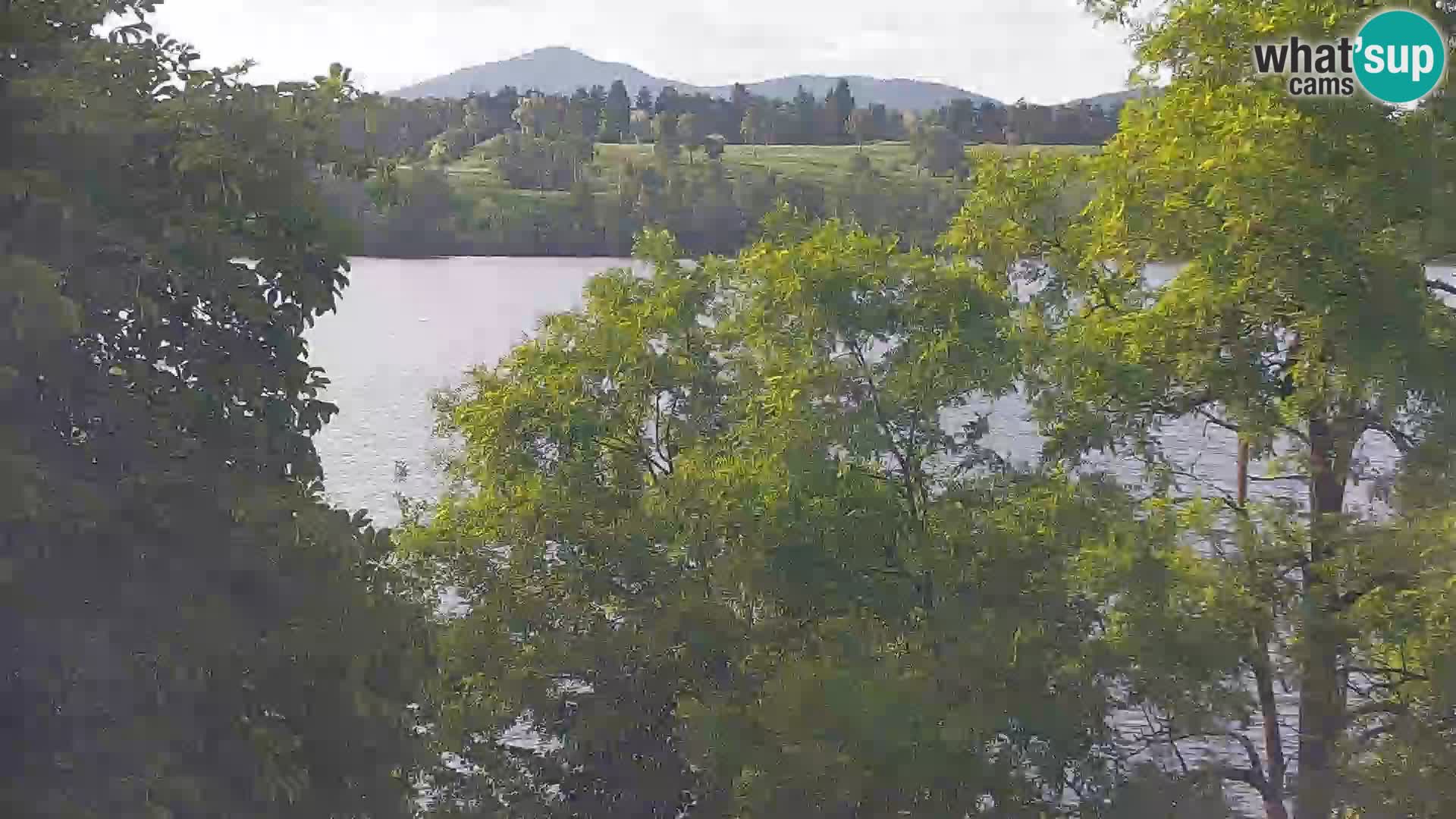 Kamera v živo Kočevsko jezero