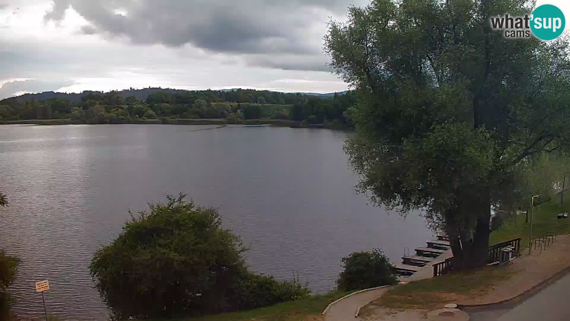 Live Webcam lago di Kočevje – Slovenia