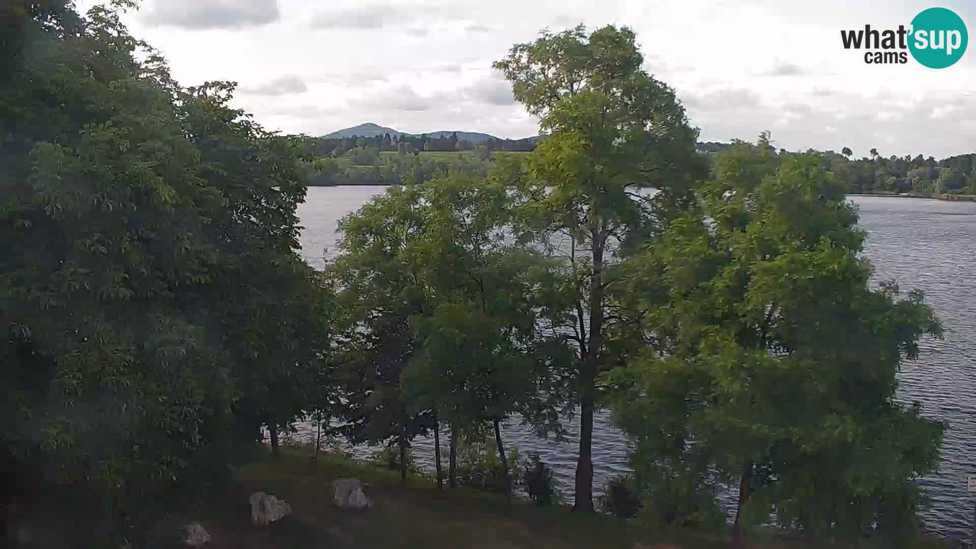 Live Webcam lago di Kočevje – Slovenia