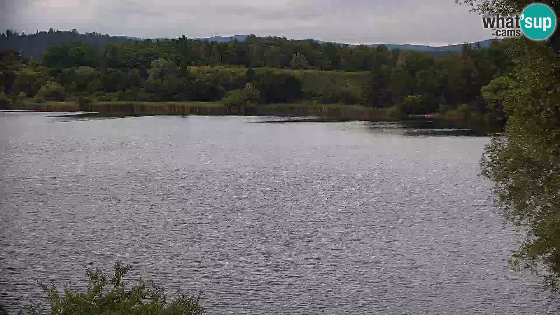 Live Webcam lago di Kočevje – Slovenia