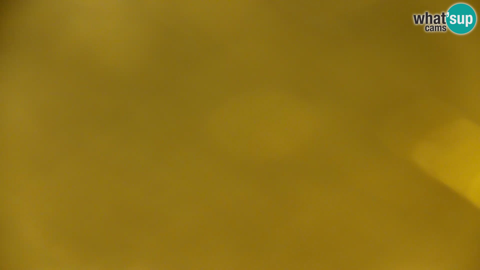 Livecam Lac Kočevje