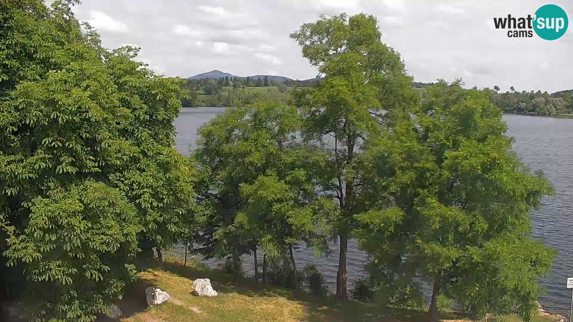Live Webcam lago di Kočevje – Slovenia