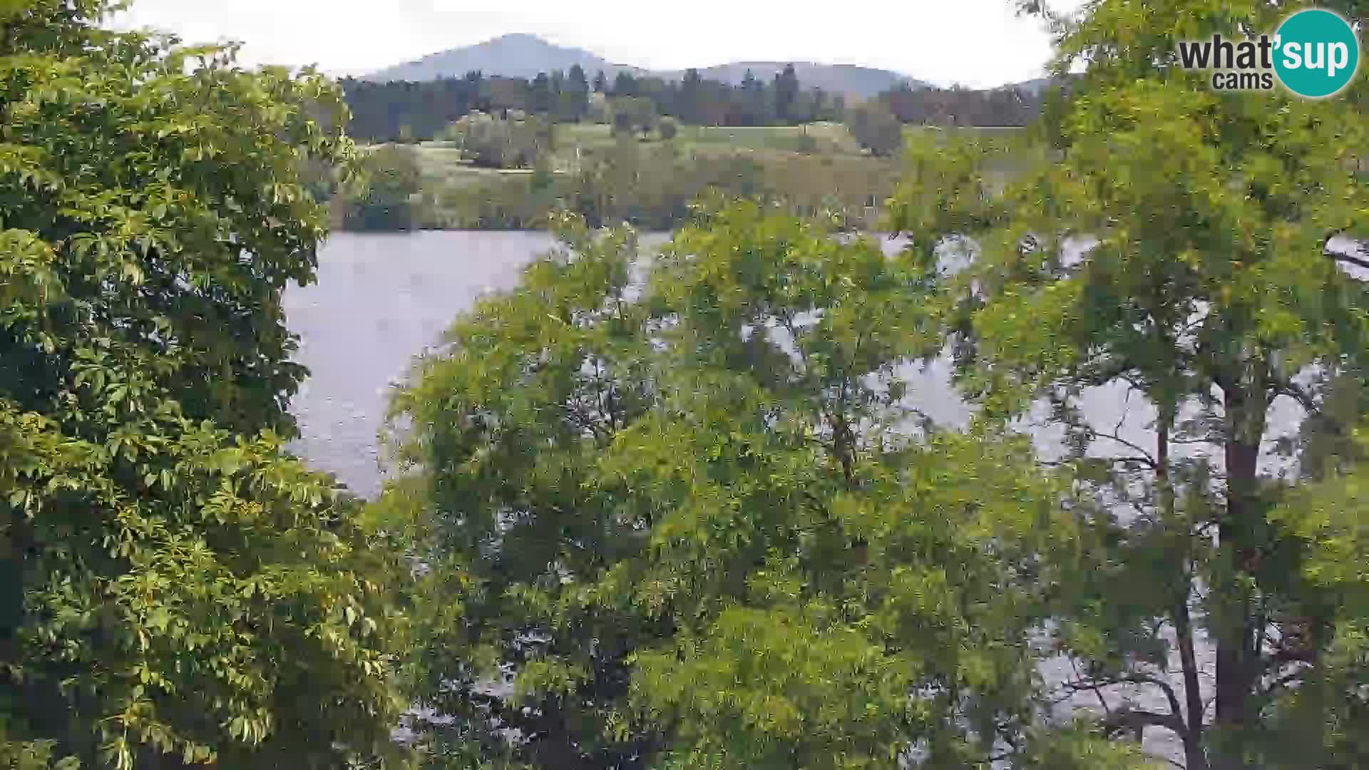 Web kamera Kočevje jezero – Slovenija