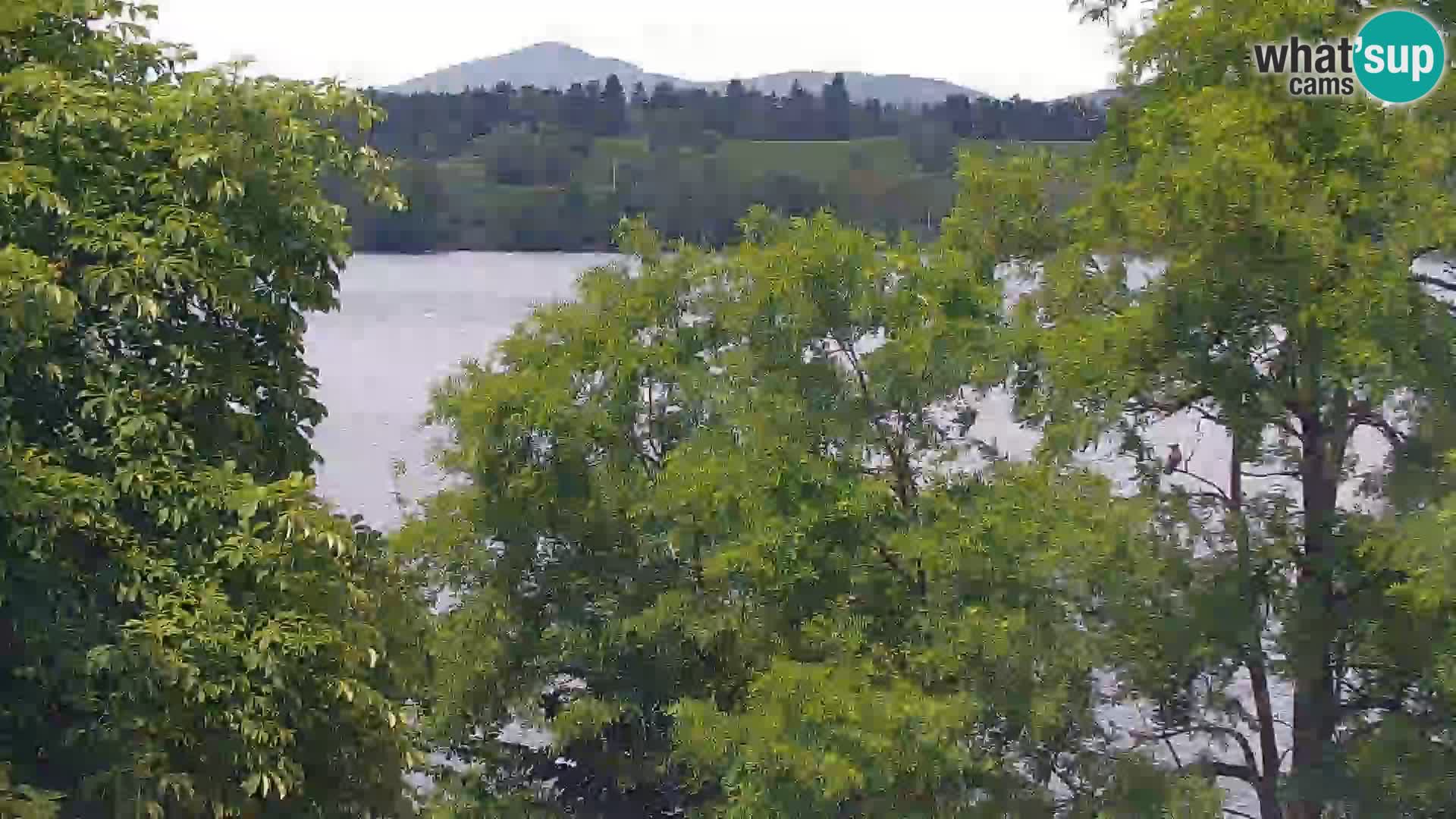Camera en vivo Lago Kočevje