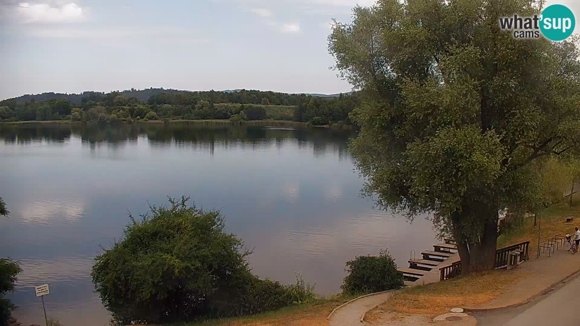 Live Webcam lago di Kočevje – Slovenia