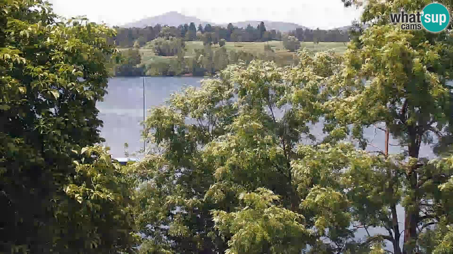 Livecam Lac Kočevje