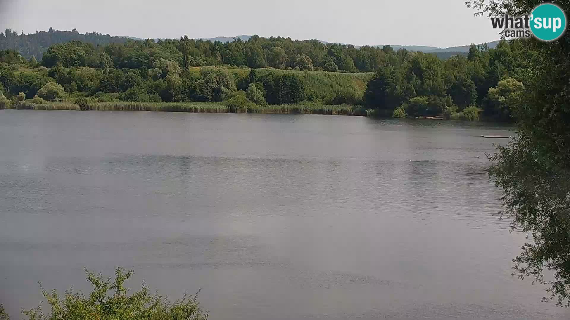 Live Webcam Kočevje lake