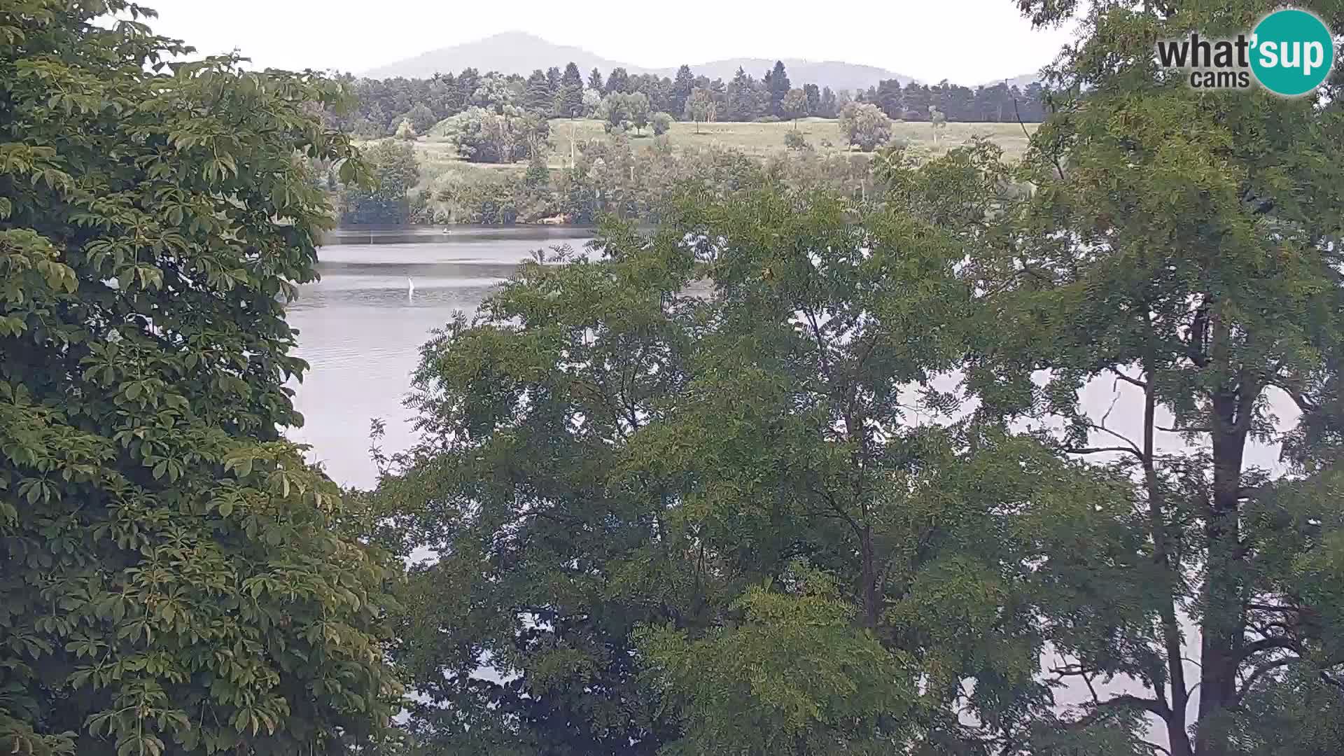 Live Webcam lago di Kočevje – Slovenia
