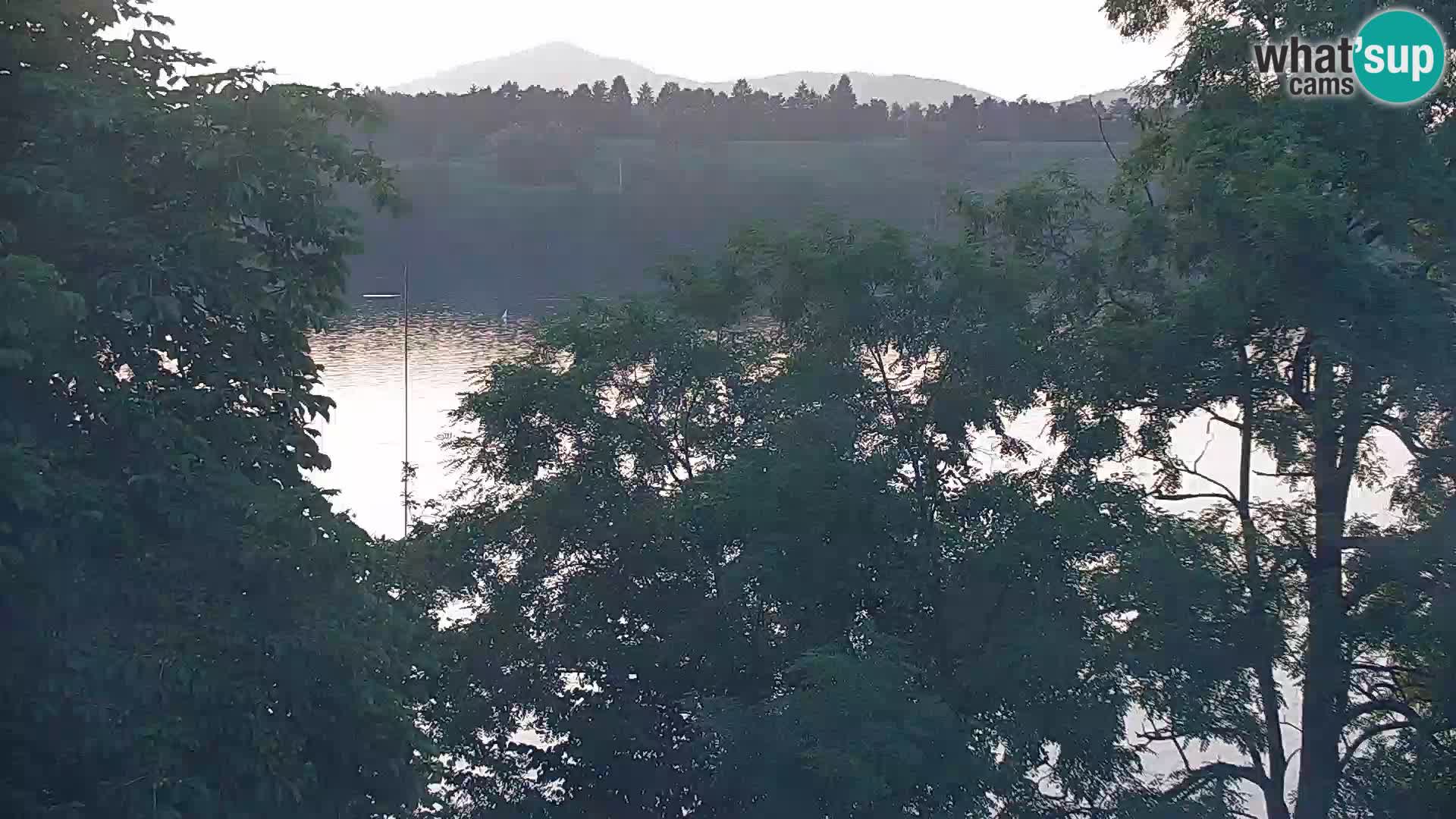 Live Webcam Kočevje lake