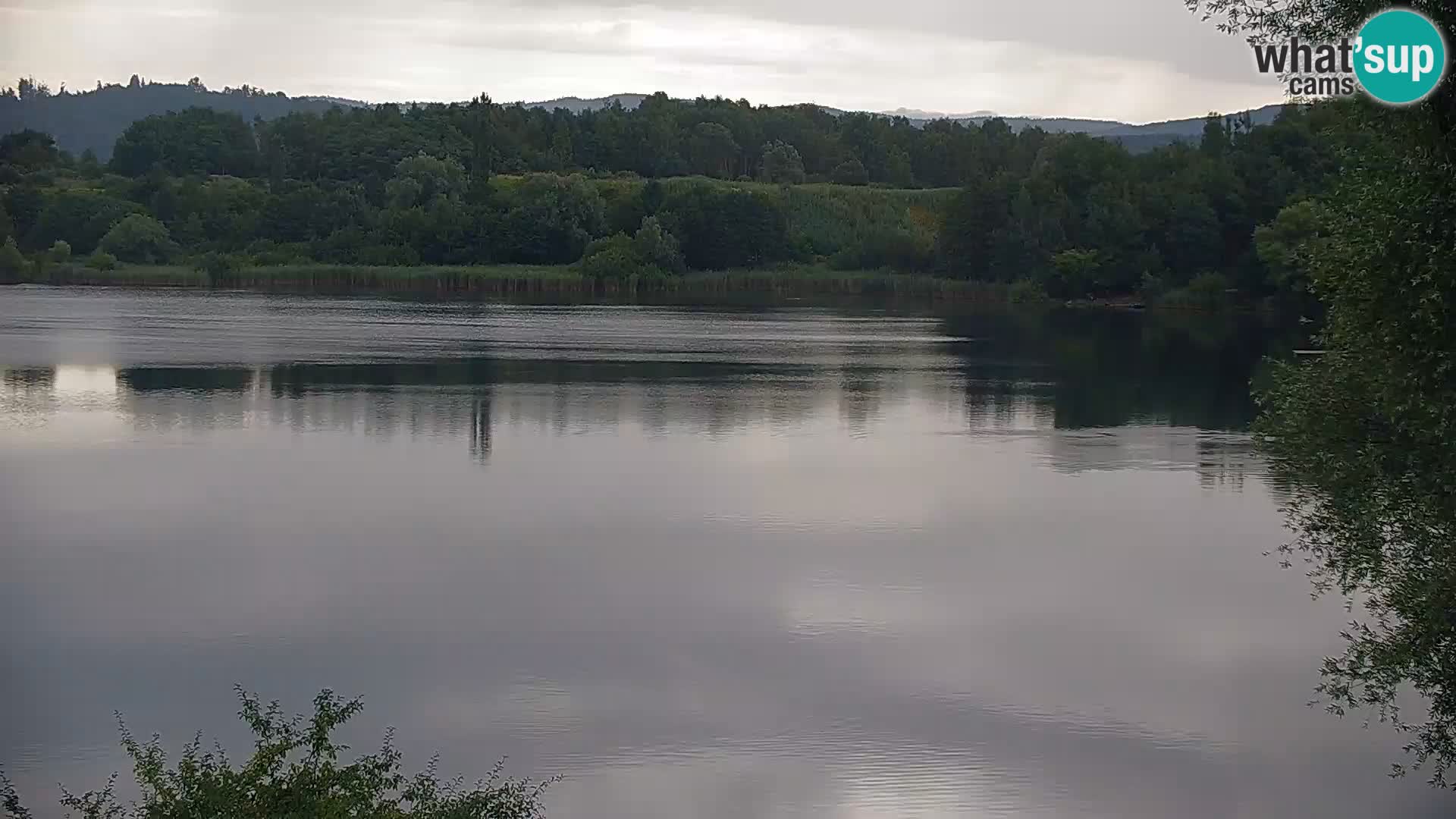 Kamera v živo Kočevsko jezero
