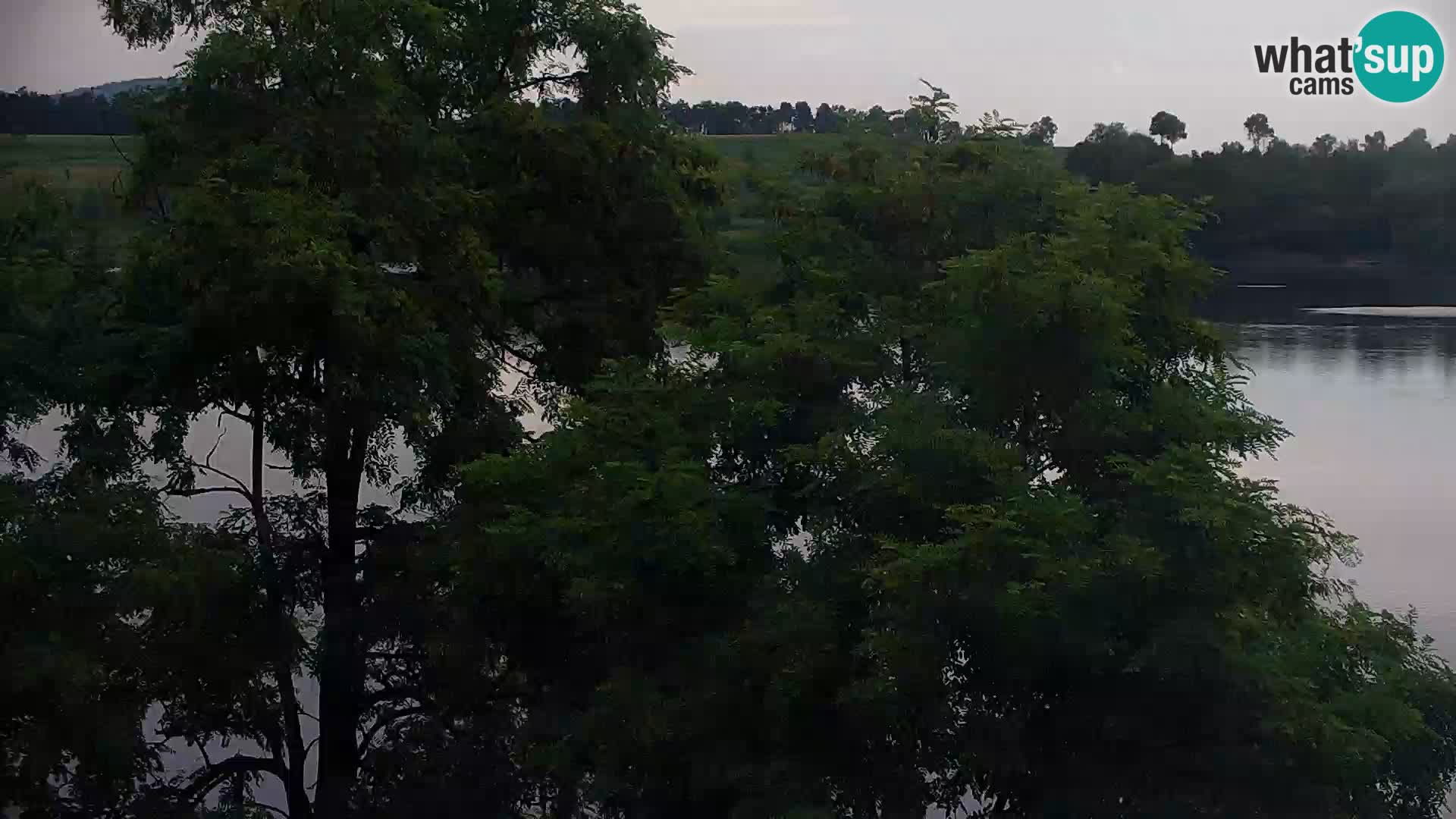 Live Webcam lago di Kočevje – Slovenia