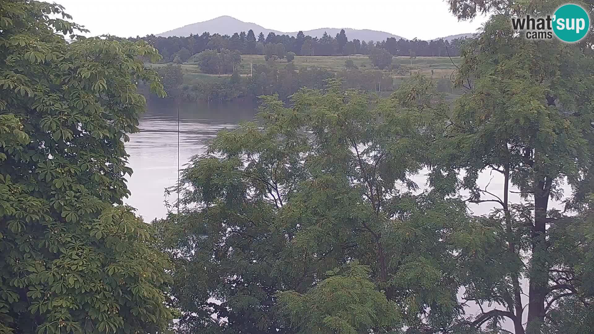 Kamera v živo Kočevsko jezero