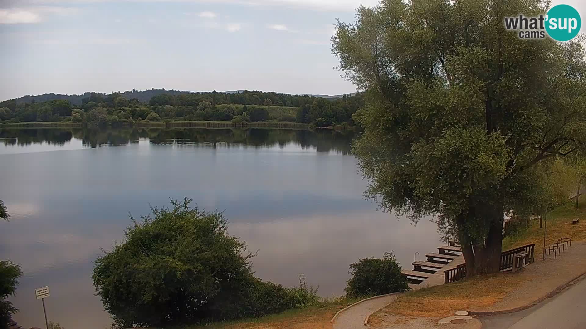 Live Webcam Kočevje lake