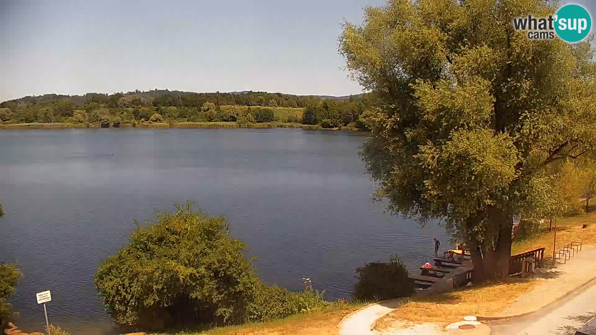 Live Webcam Kočevje lake