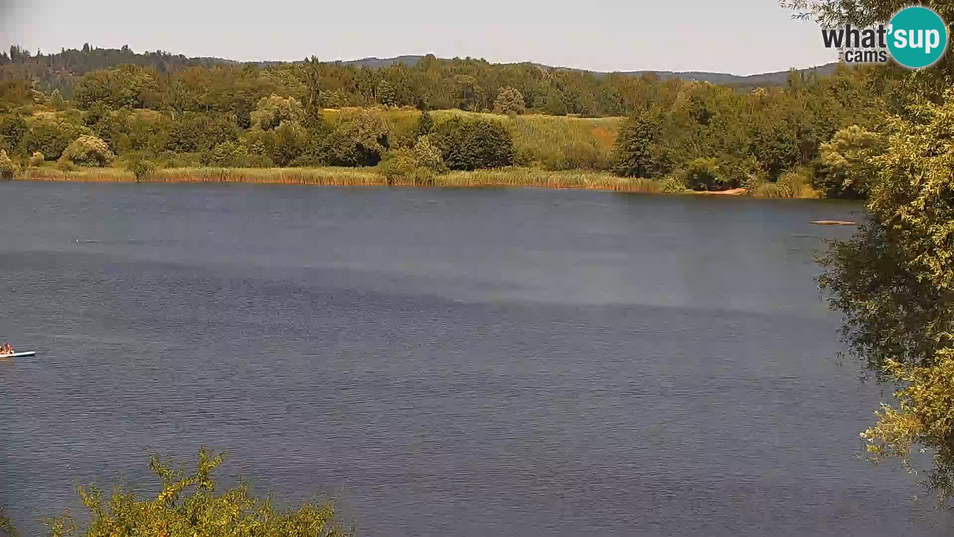 Livecam Lac Kočevje