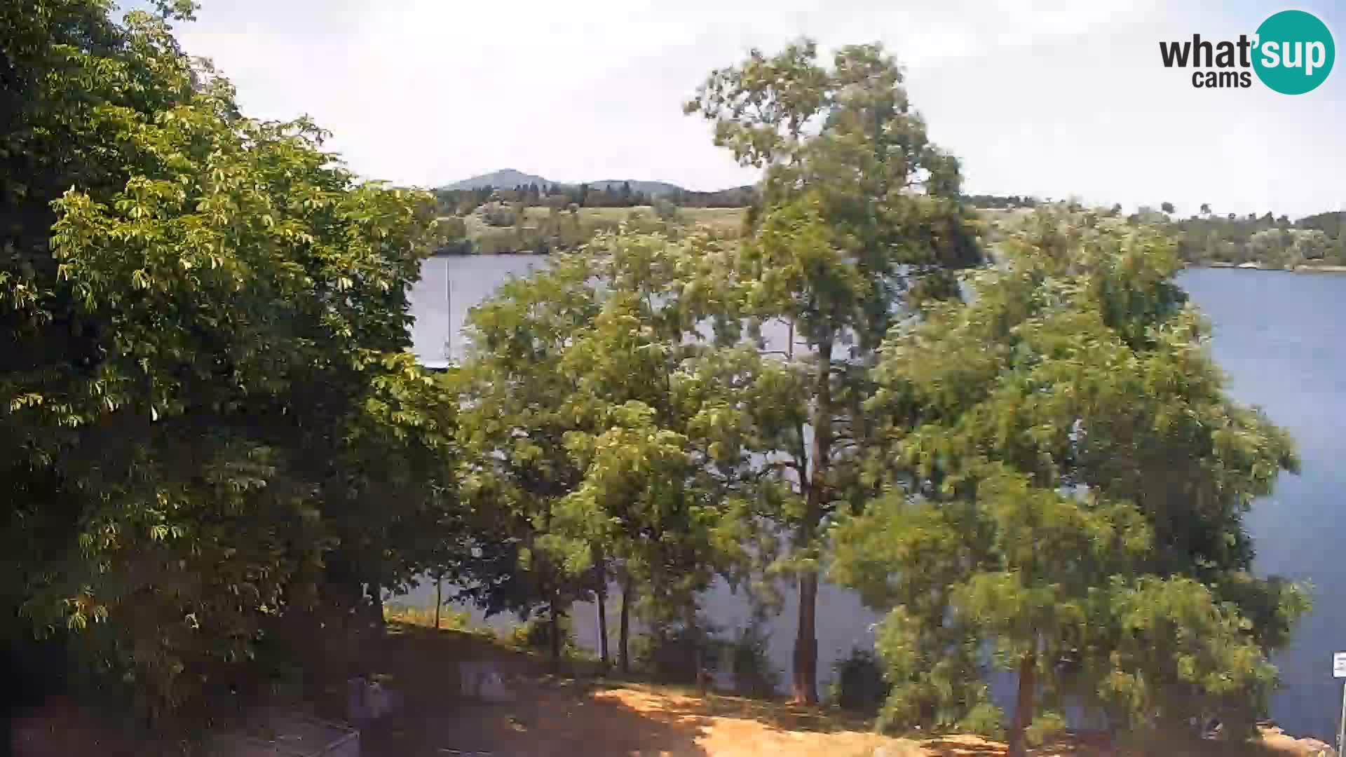 Live Webcam Kočevje lake