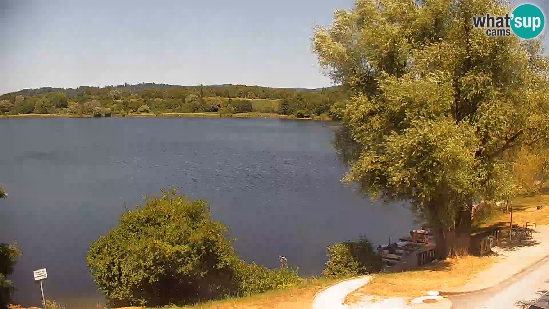 Camera en vivo Lago Kočevje