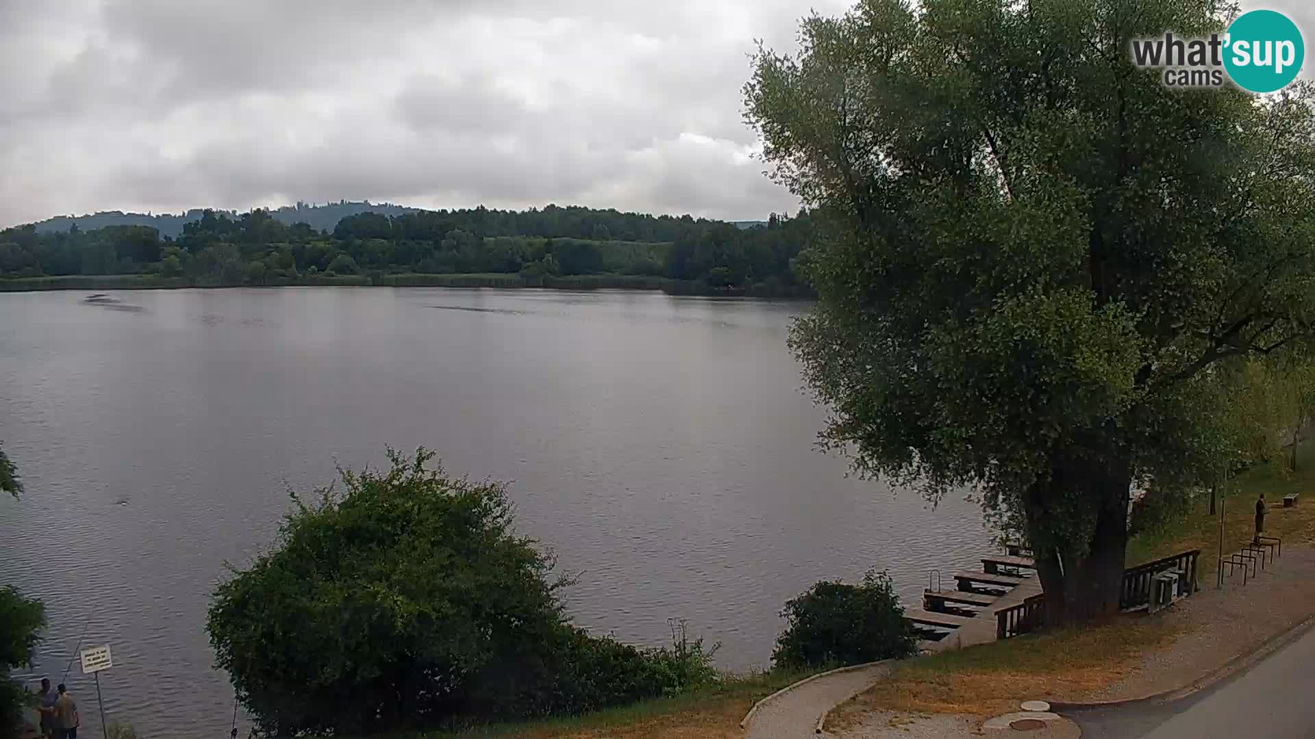 Livecam Lac Kočevje