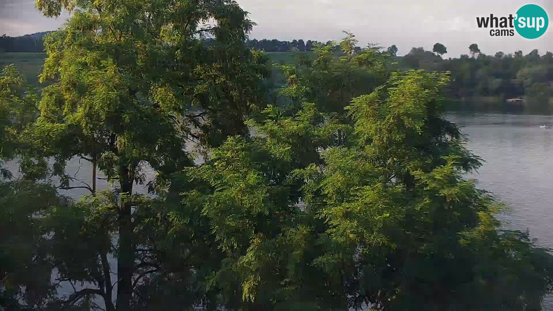 Live Webcam Kočevje lake