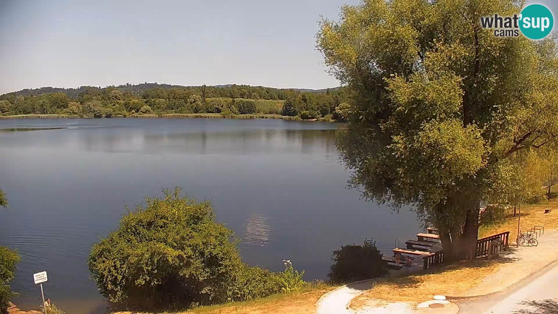 Kamera v živo Kočevsko jezero
