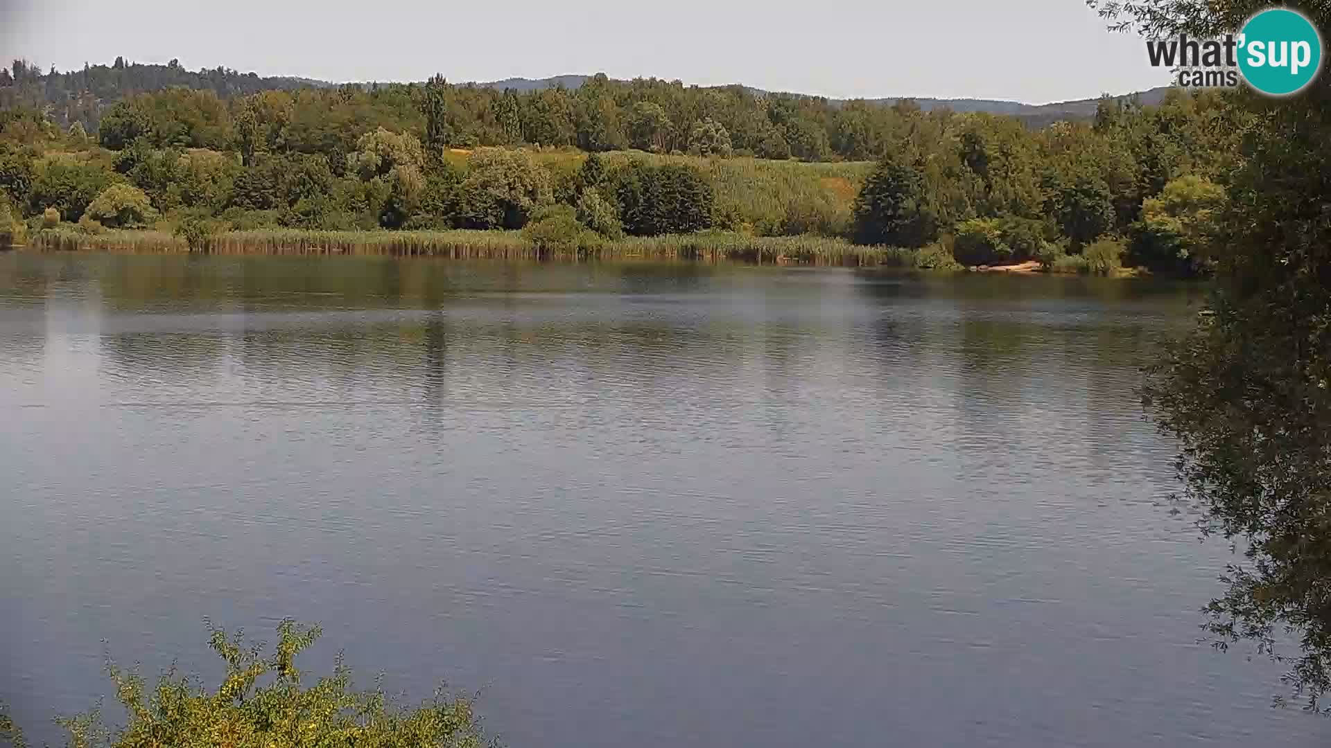 Livecam Lac Kočevje