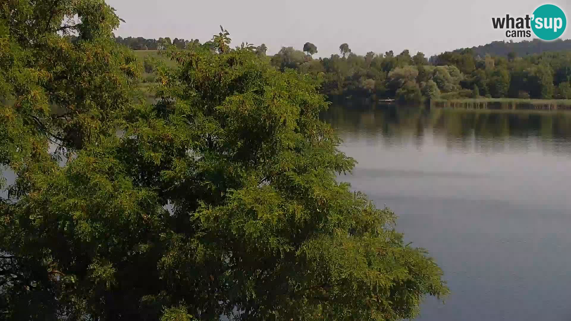 Livecam Lac Kočevje