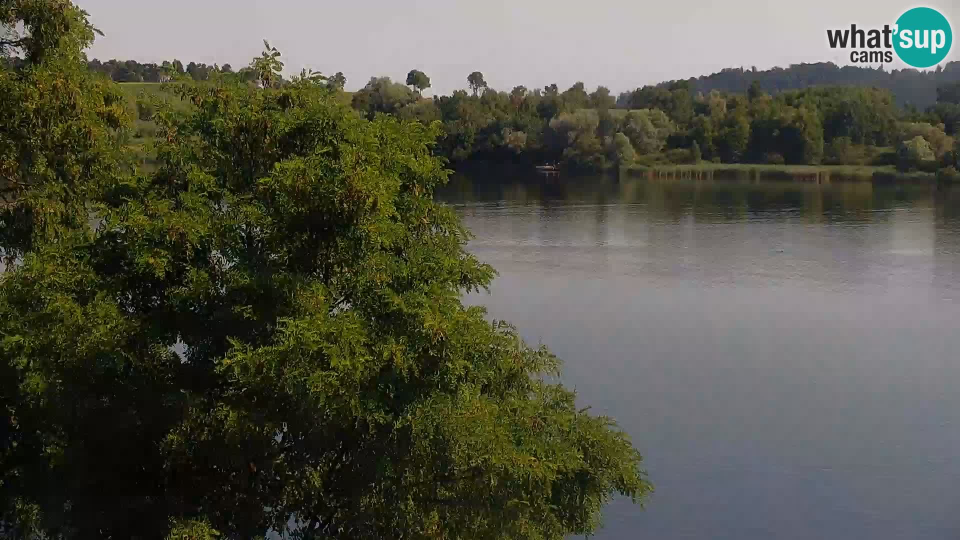 Live Webcam Kočevje lake