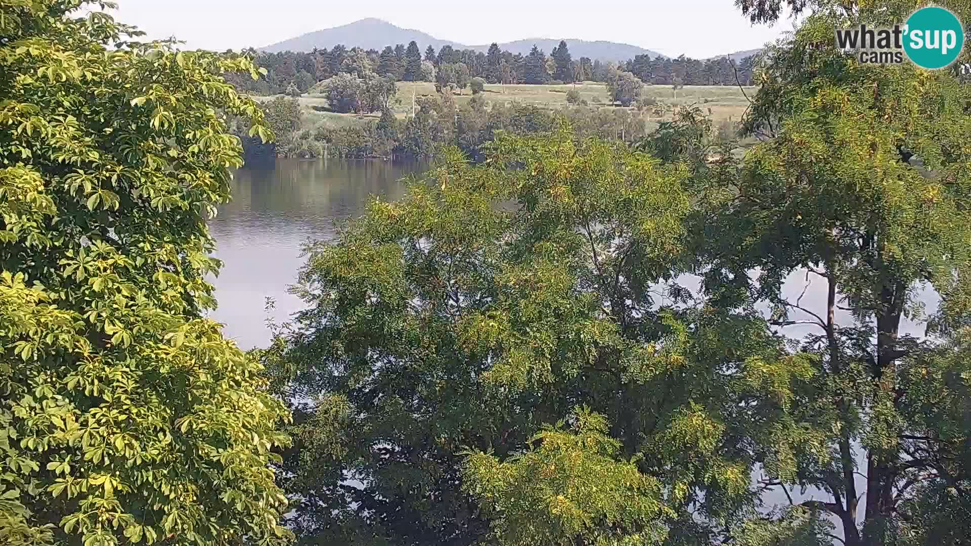 Live Webcam lago di Kočevje – Slovenia