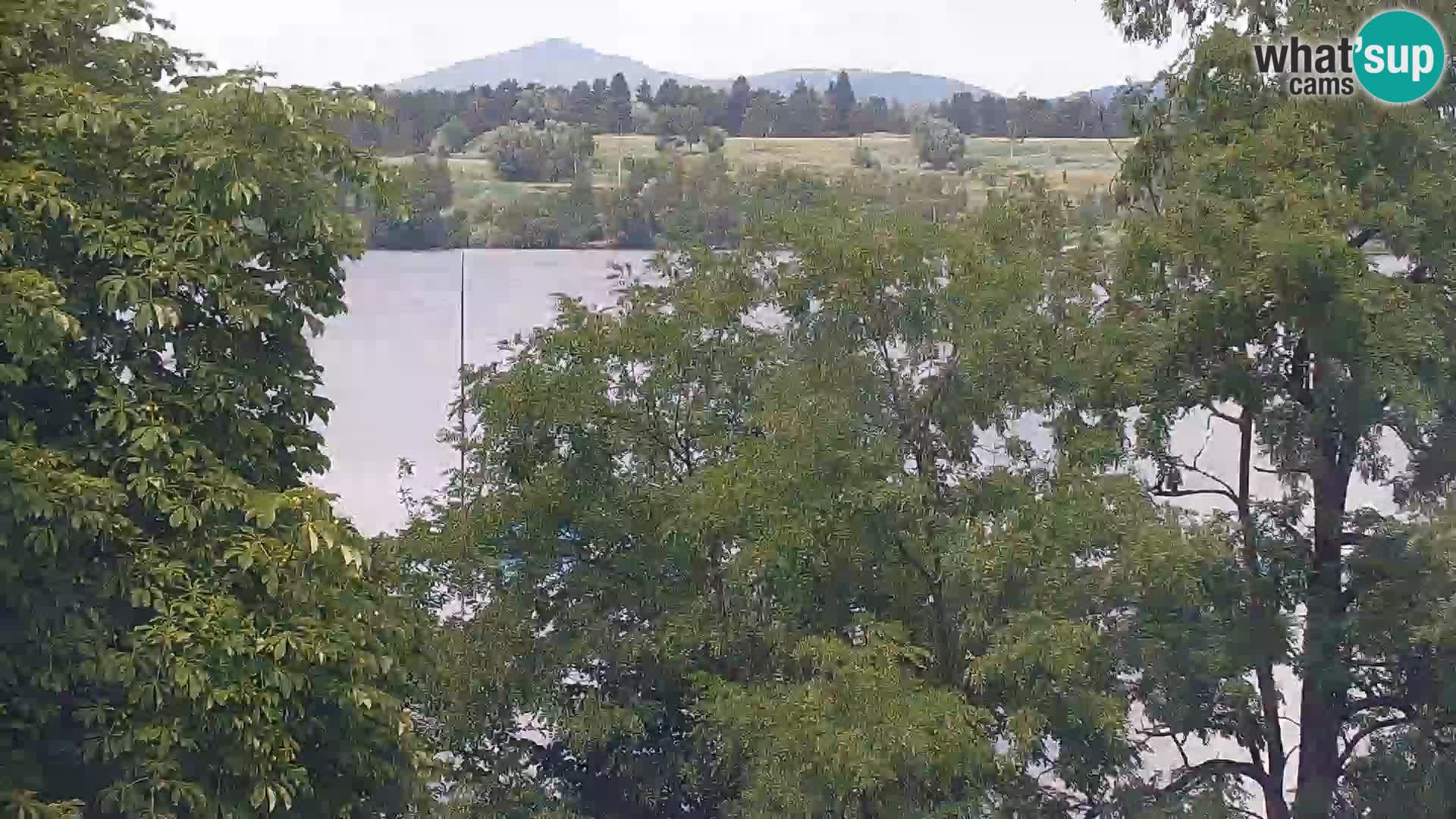 Kamera v živo Kočevsko jezero