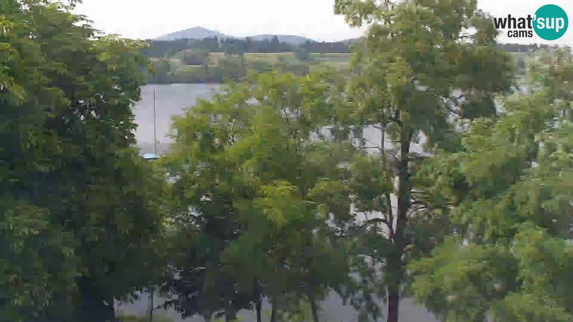 Livecam Lac Kočevje