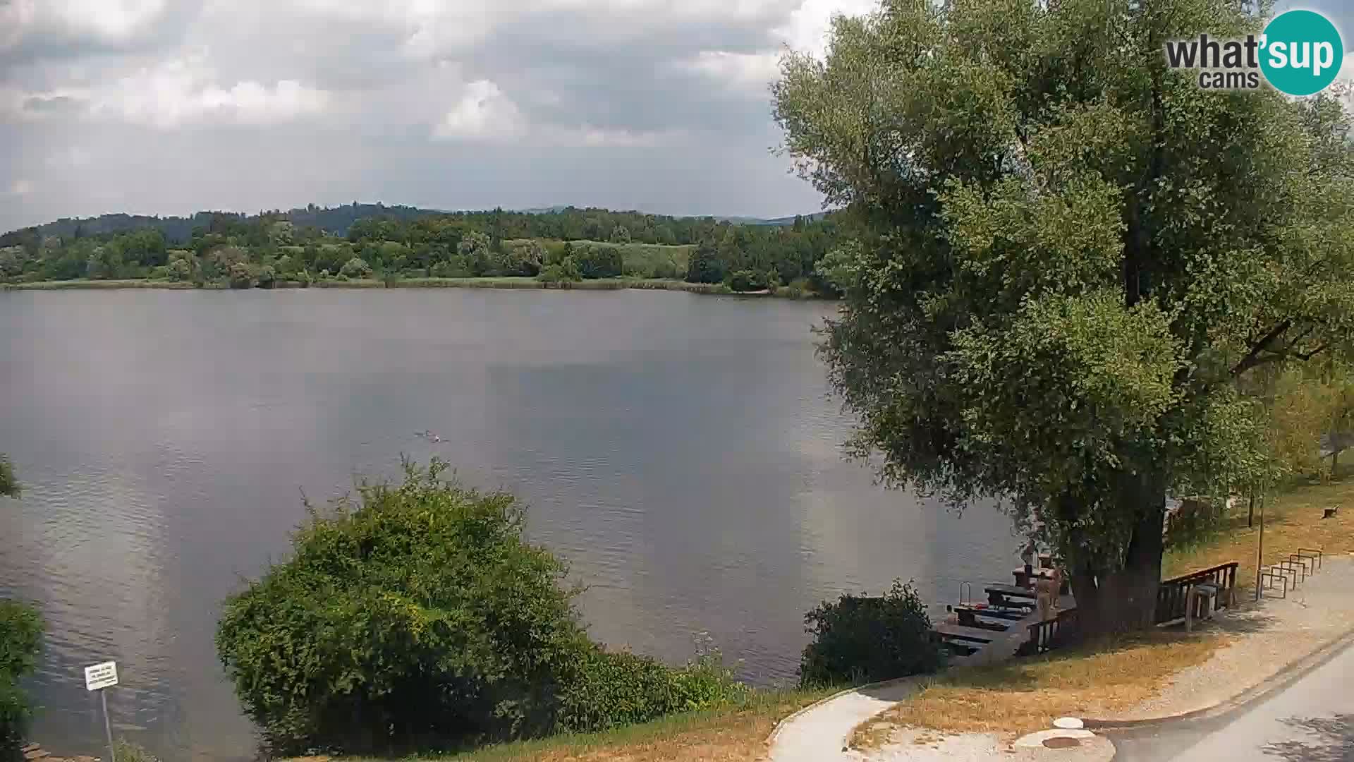Web kamera Kočevje jezero – Slovenija