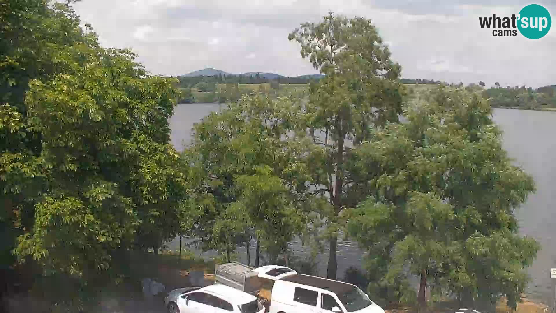 Camera en vivo Lago Kočevje