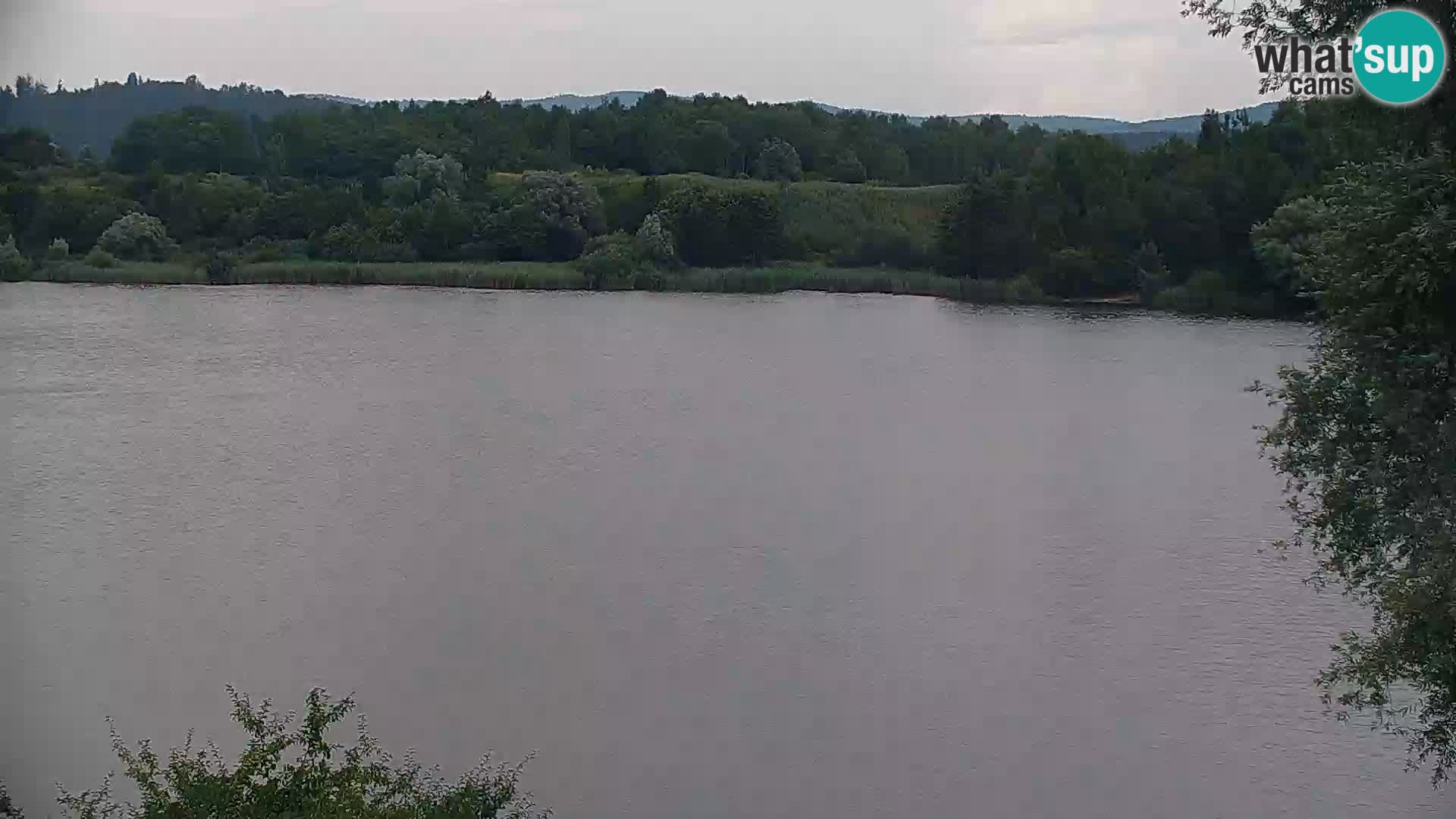 Kamera v živo Kočevsko jezero