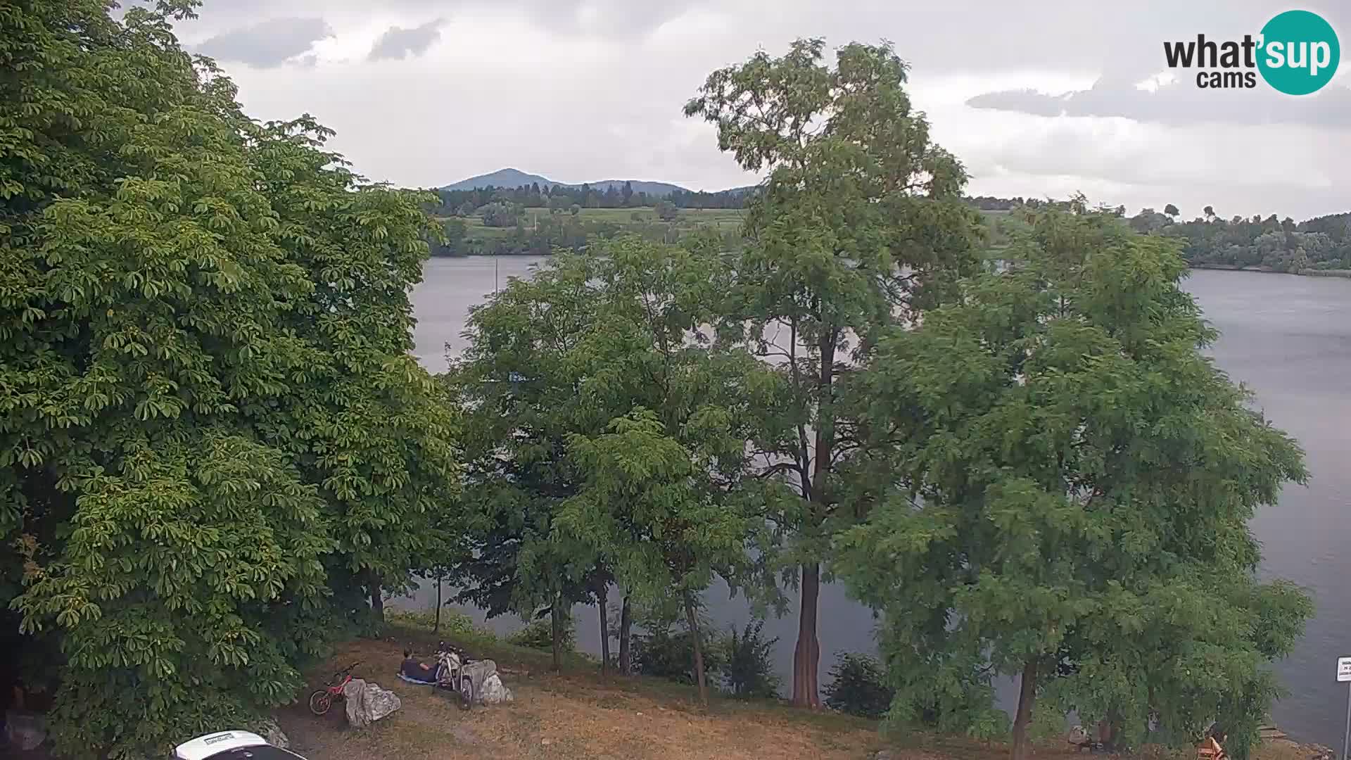 Live Webcam lago di Kočevje – Slovenia