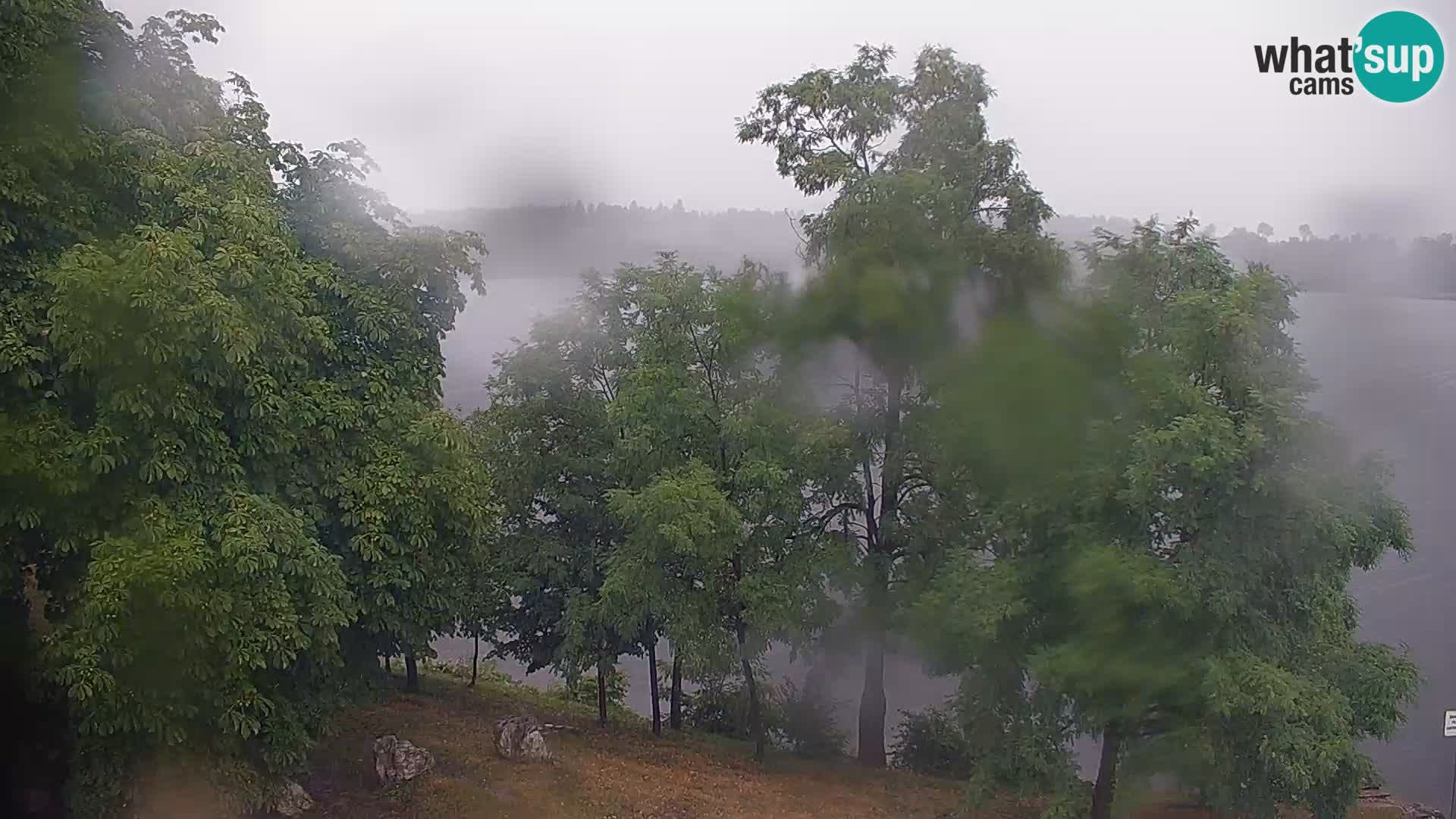 Web kamera Kočevje jezero – Slovenija