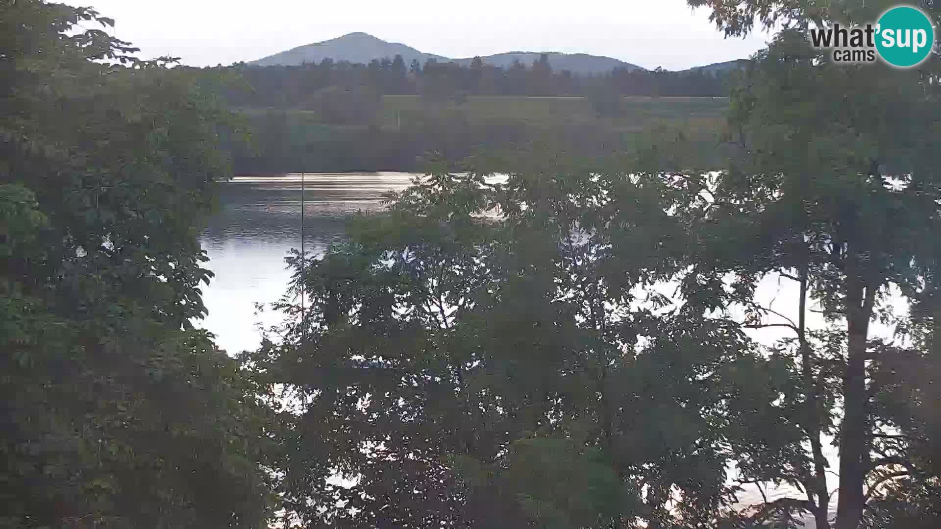 Live Webcam Kočevje-See – Slowenien