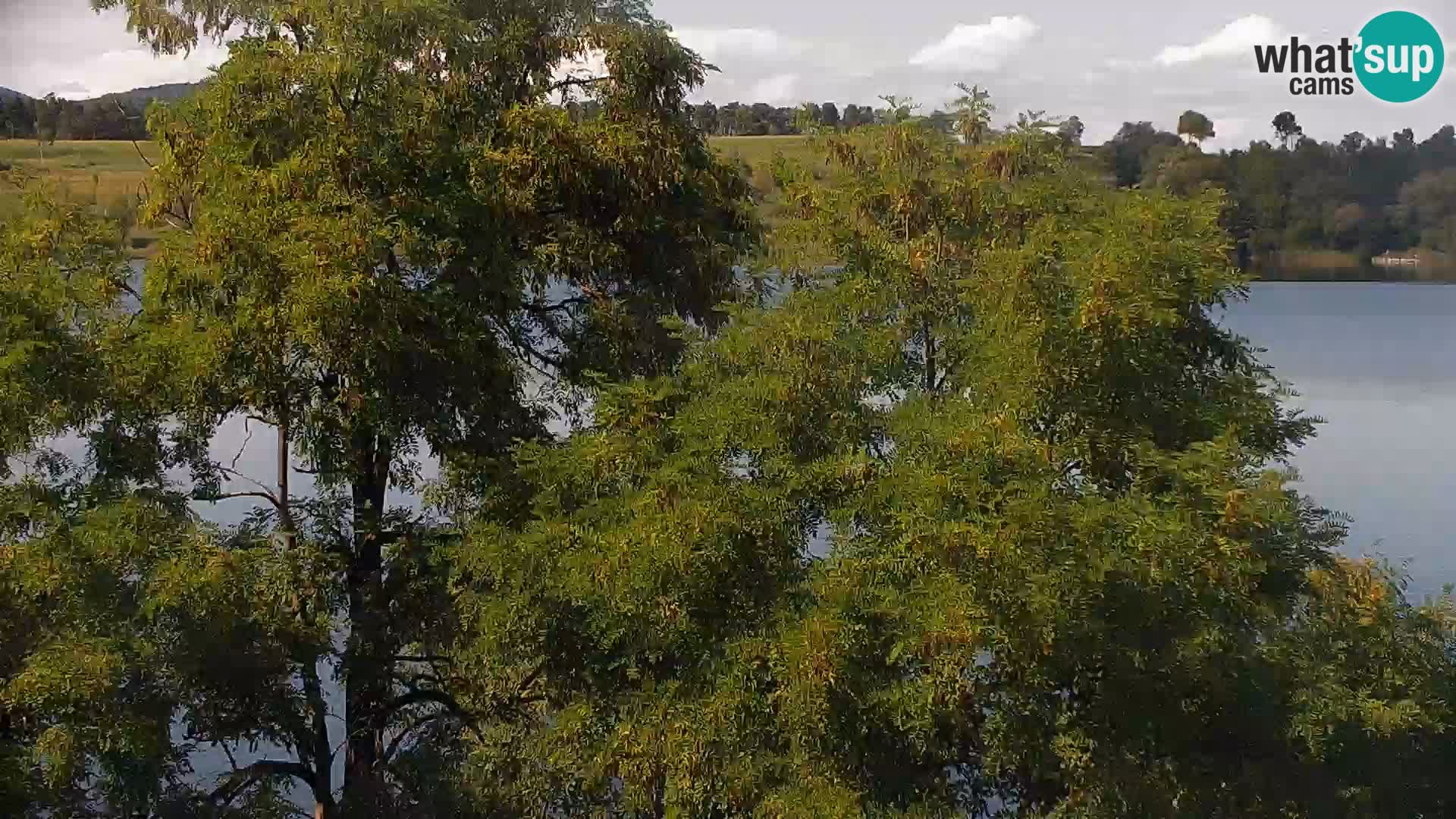 Live Webcam lago di Kočevje – Slovenia