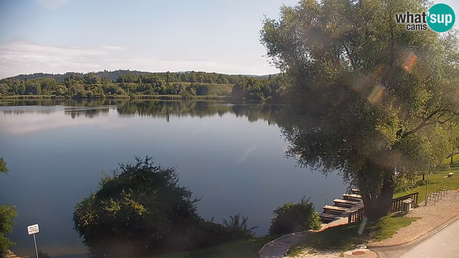 Kamera v živo Kočevsko jezero