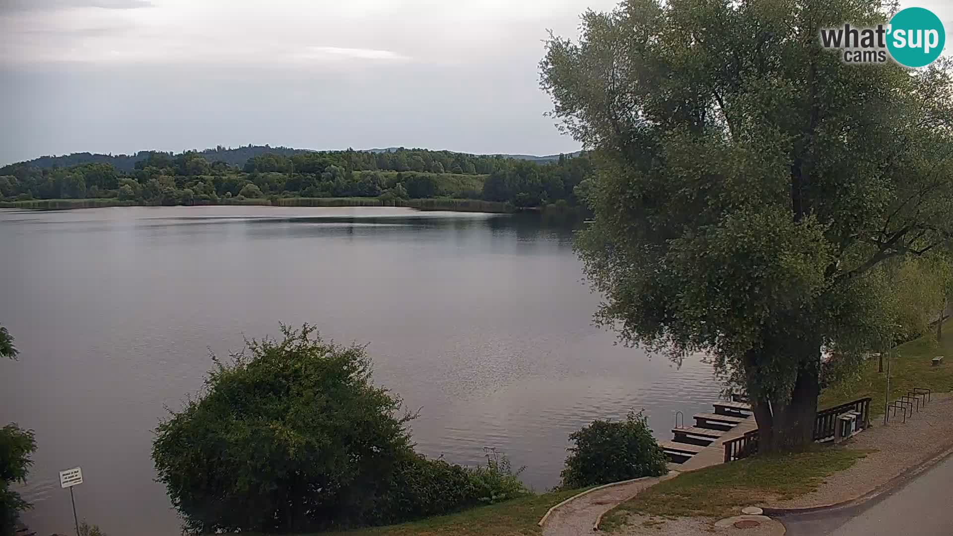 Web kamera Kočevje jezero – Slovenija
