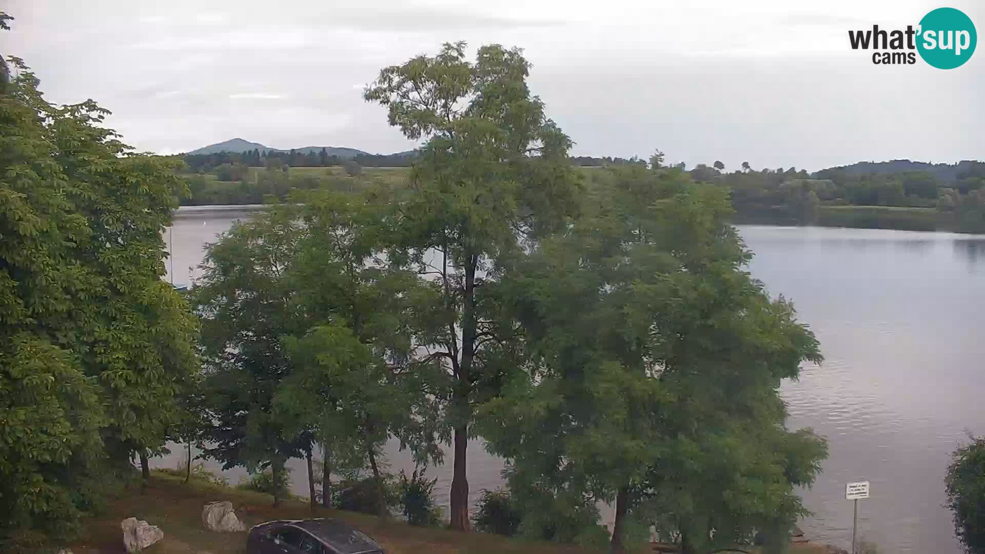 Kamera v živo Kočevsko jezero