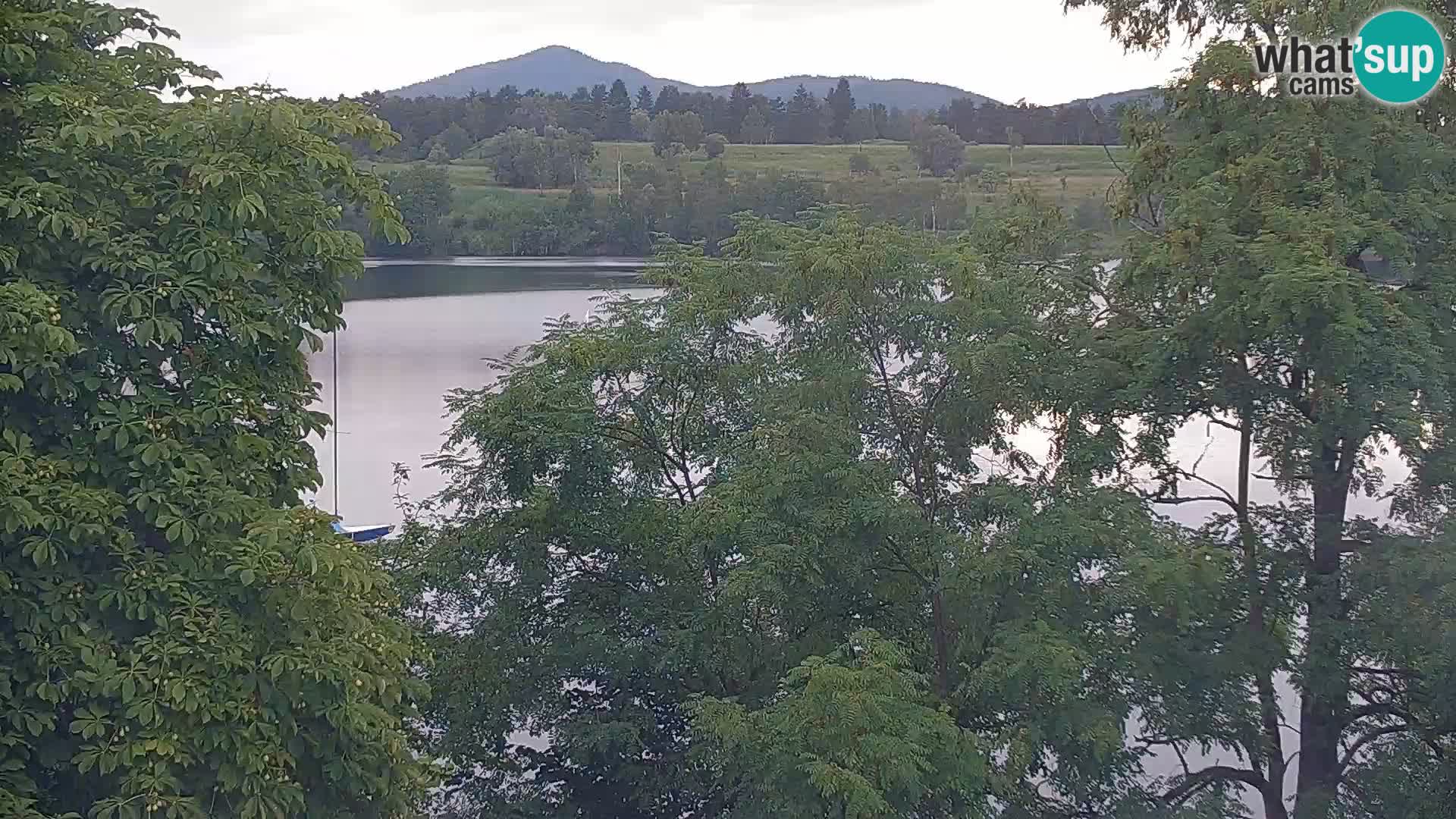 Live Webcam Kočevje lake