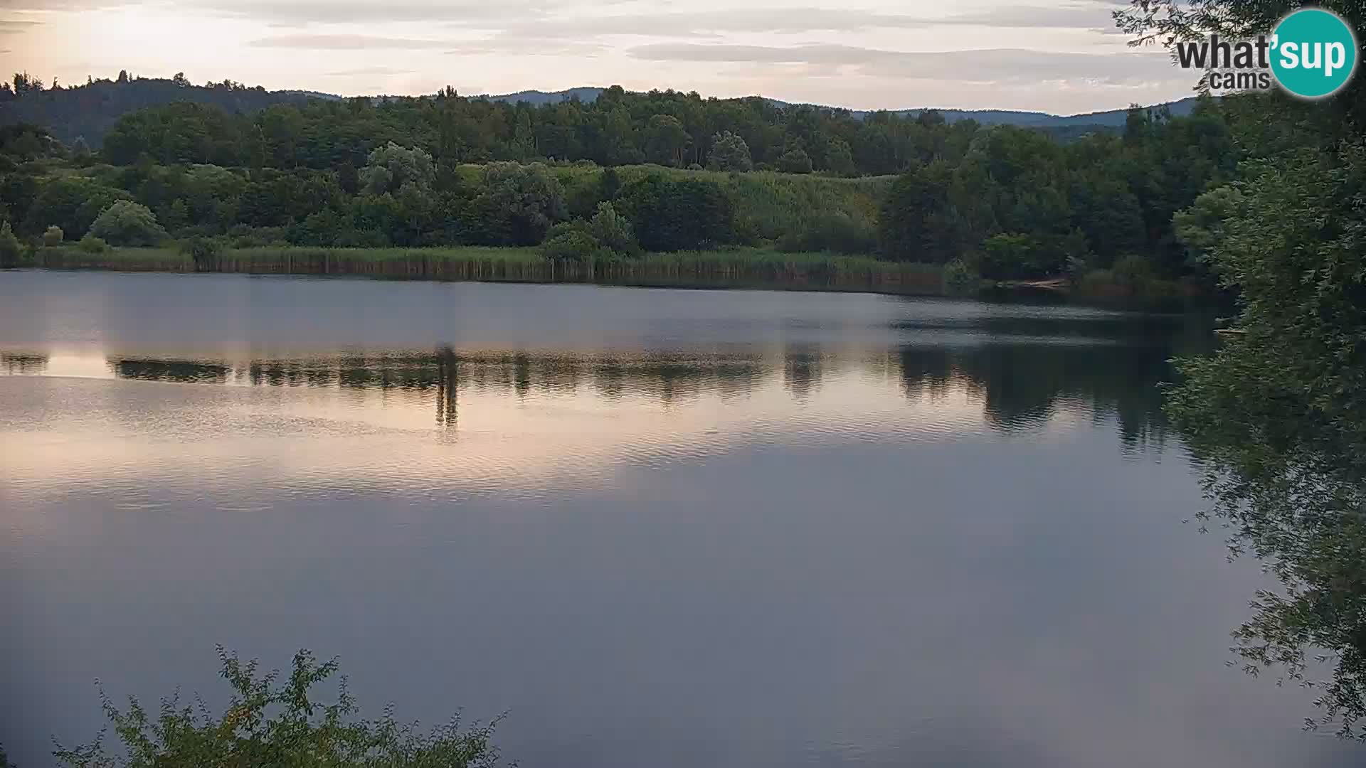 Live Webcam lago di Kočevje – Slovenia