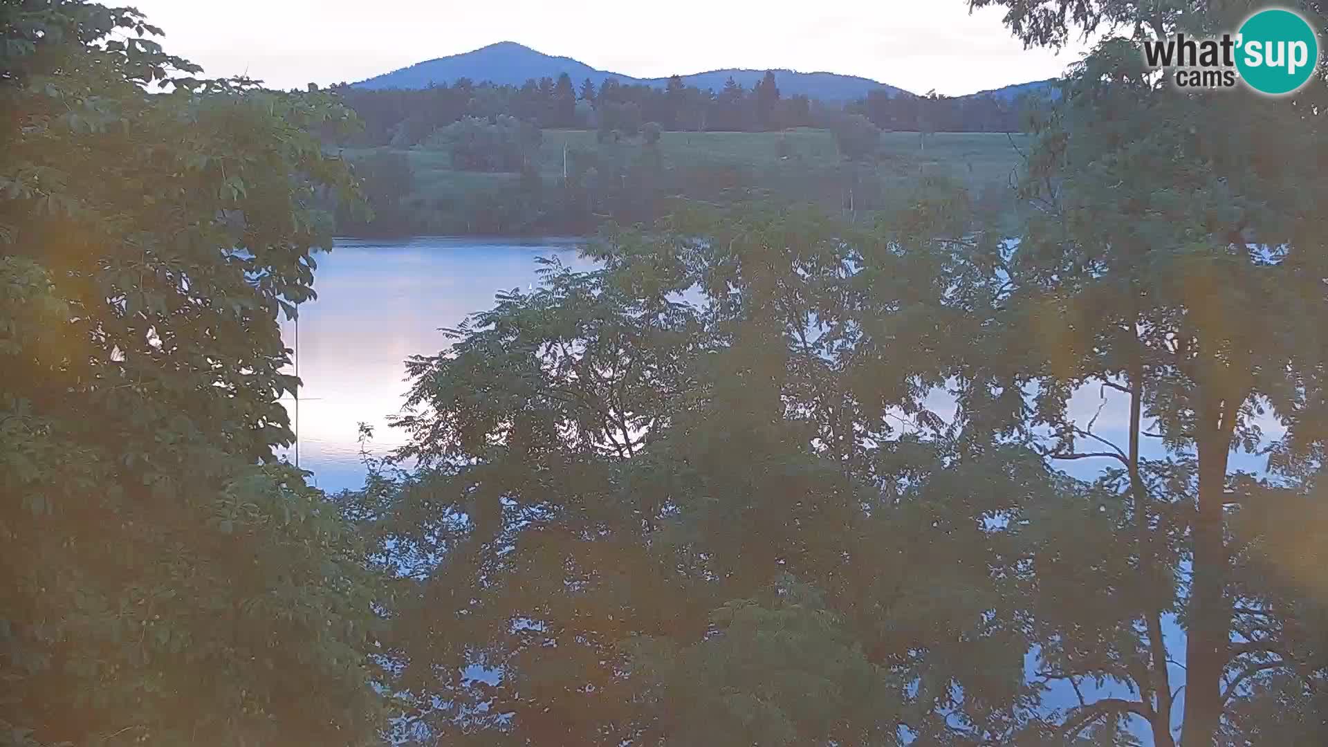 Livecam Lac Kočevje