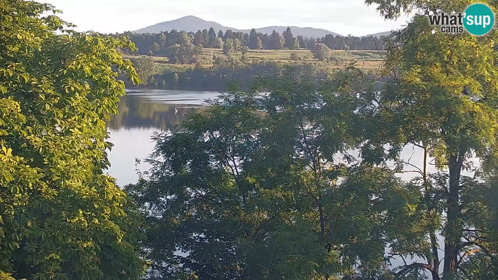 Live Webcam Kočevje lake