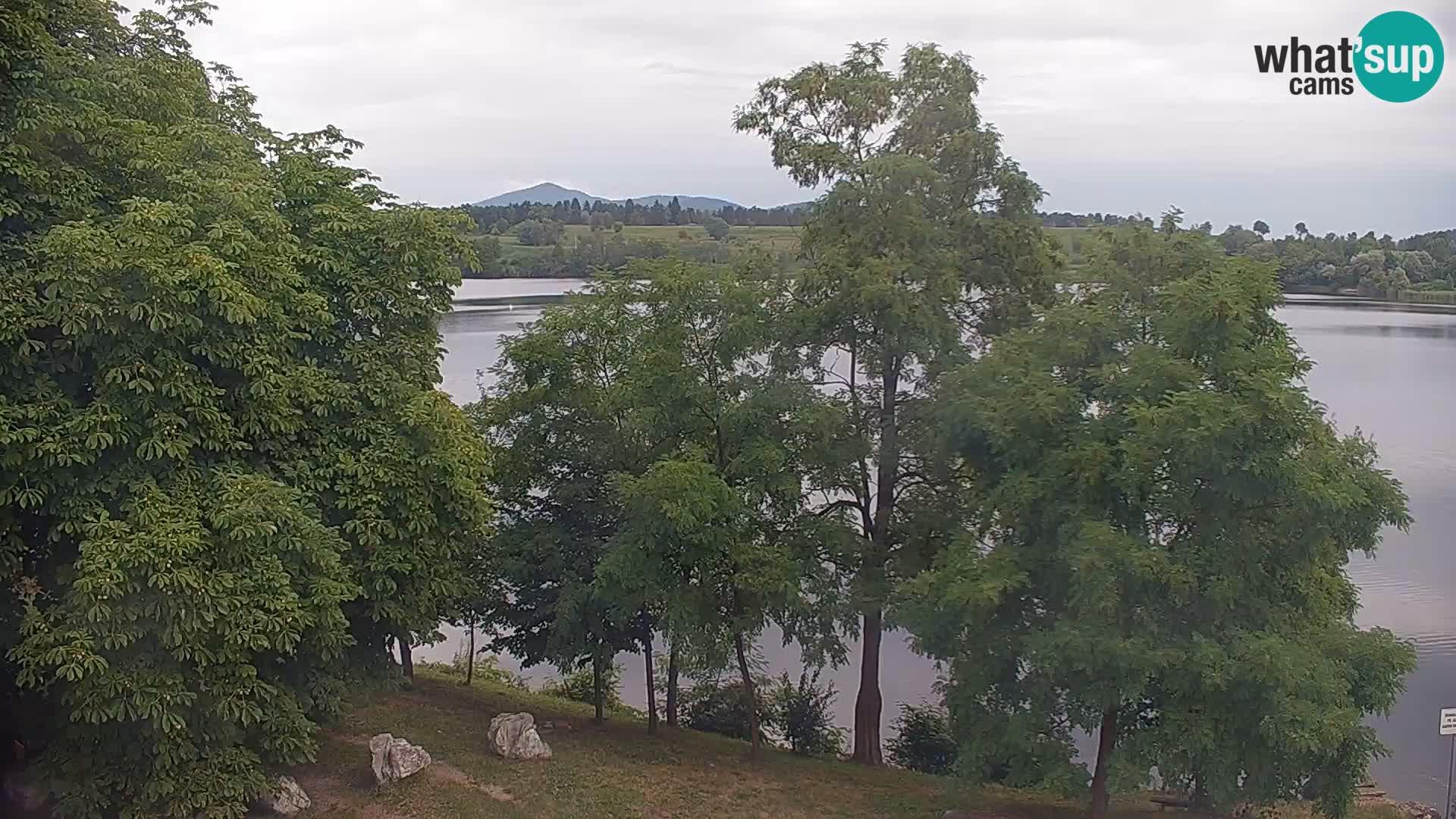 Livecam Lac Kočevje