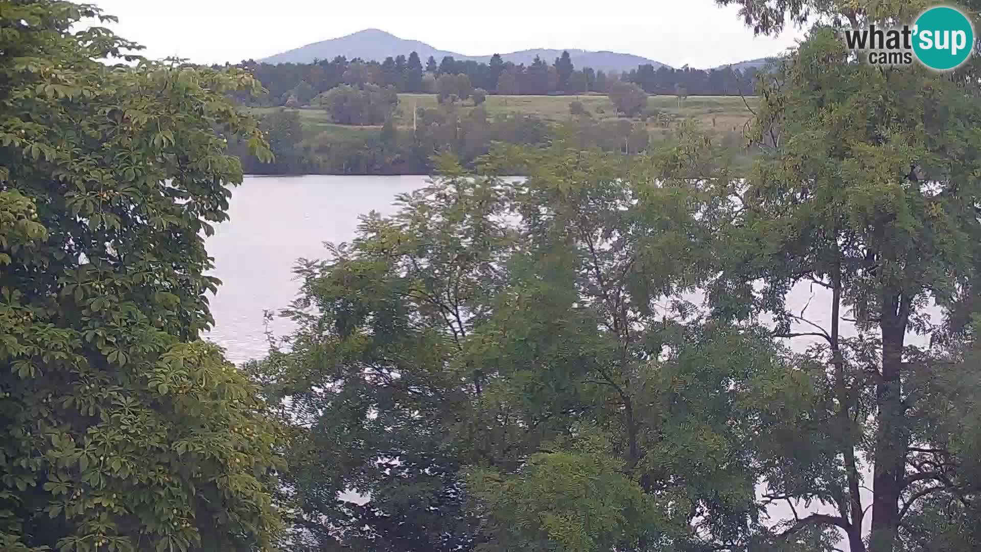Live Webcam Kočevje-See – Slowenien