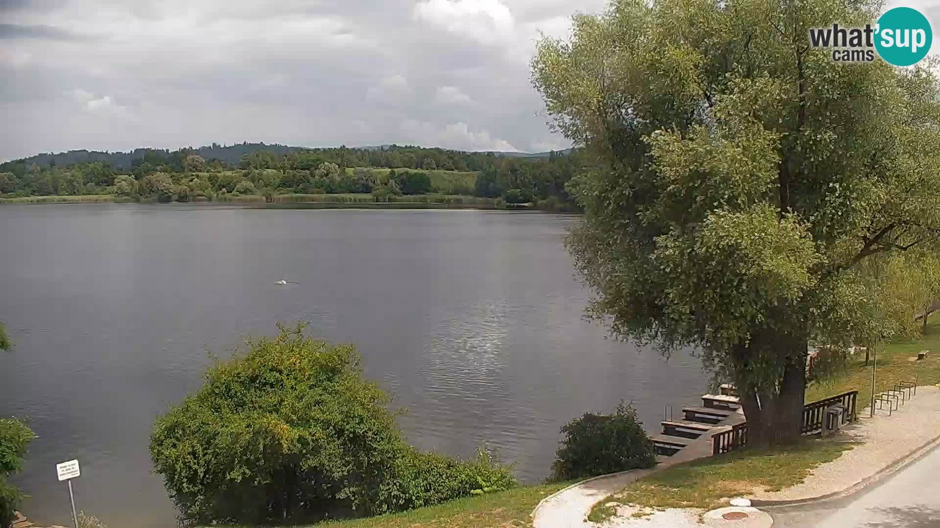 Live Webcam Kočevje lake