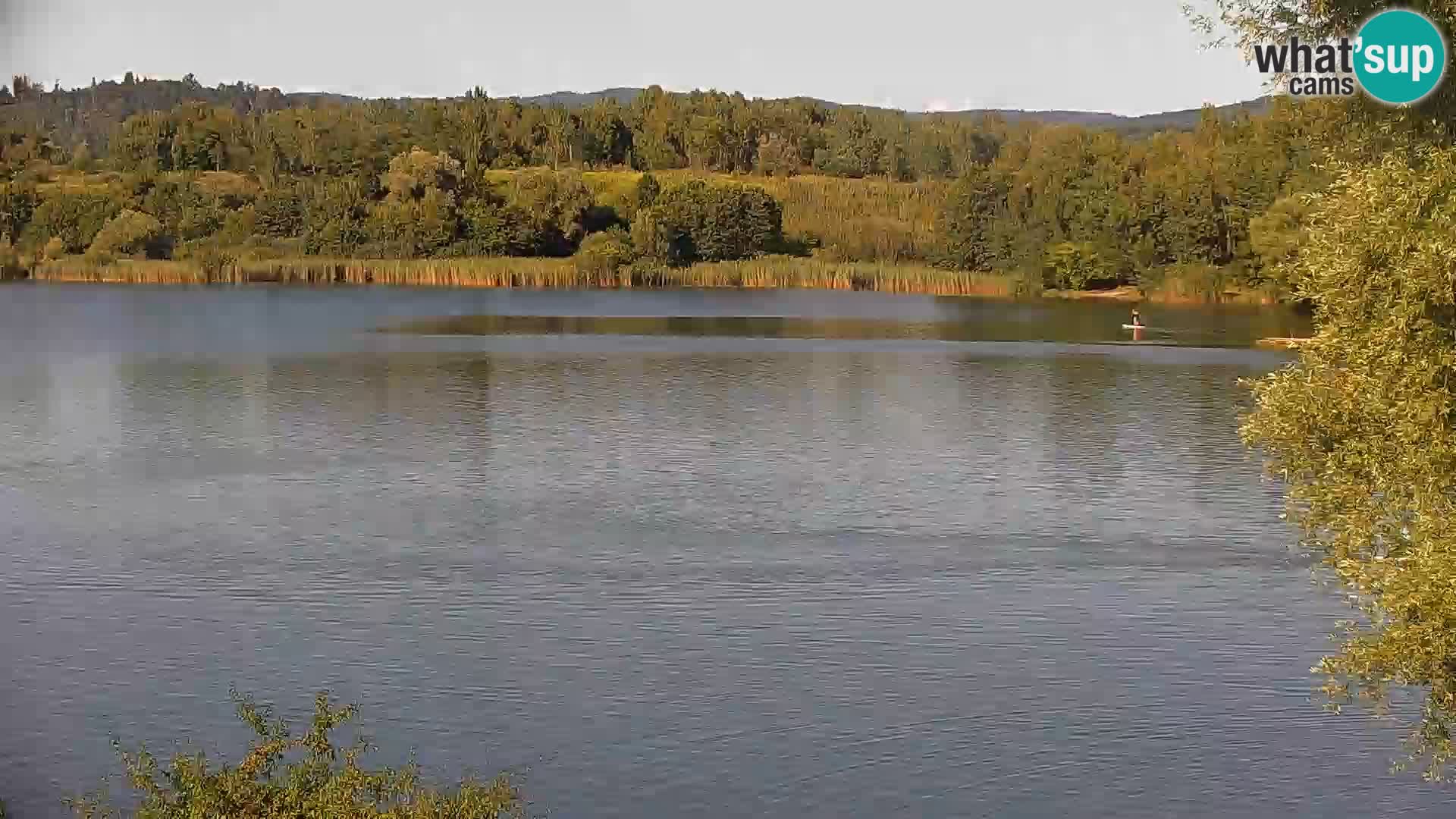 Kamera v živo Kočevsko jezero