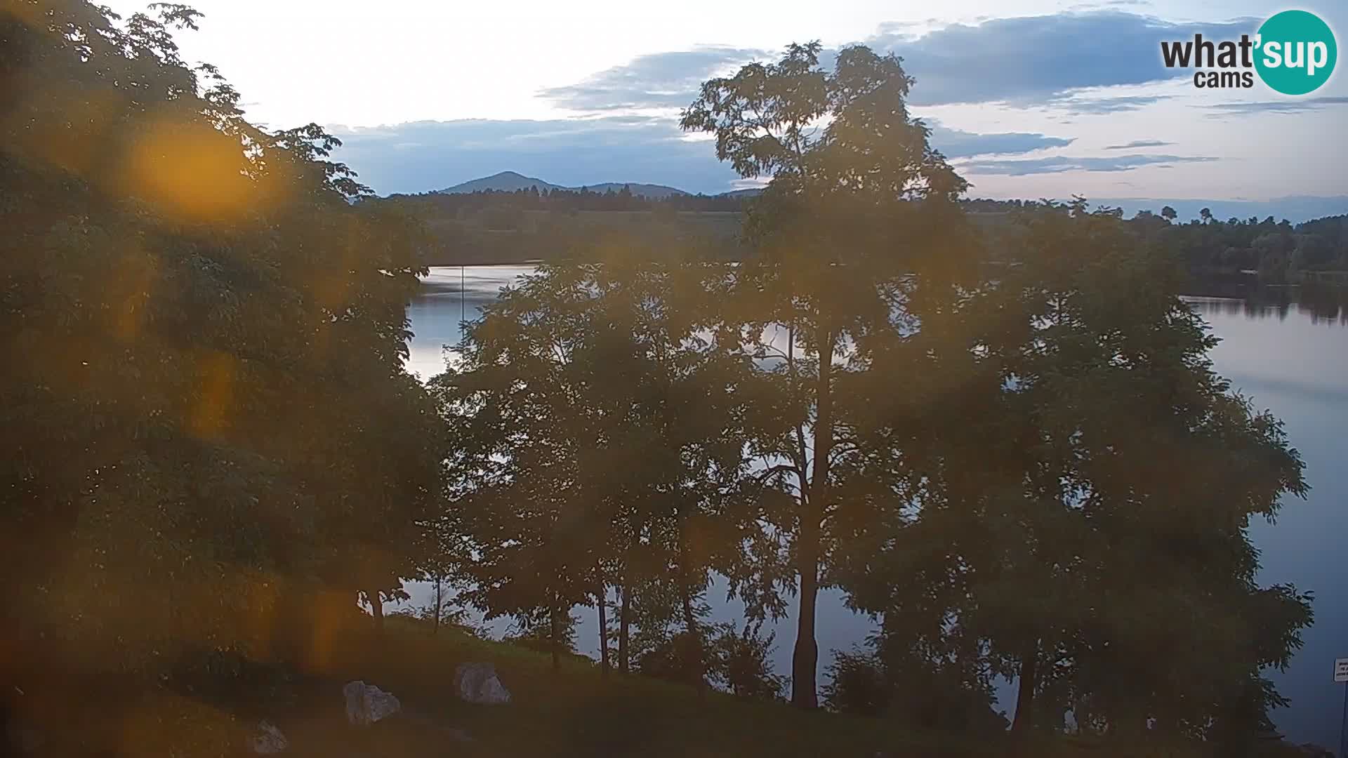 Live Webcam lago di Kočevje – Slovenia